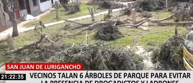 Vecinos talan árboles en parque de SJL para evitar presencia de drogadictos Vecinos talan árboles en parque de SJL para evitar presencia de drogadictos