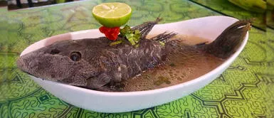 Caldo de carachama: prepara este nutritivo y exótico platillo amazónico Caldo de carachama: prepara este nutritivo y exótico platillo amazónico
