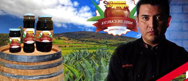 Chef peruano crea miel apta para diabéticos a base de cabuya Chef peruano crea miel apta para diabéticos a base de cabuya