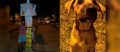 Jóvenes dejan comederos para perritos sin hogar en SJL Jóvenes dejan comederos para perritos sin hogar en SJL