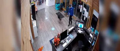 Perrita se escapó de la casa para visitar a sus amigos de una guardería Perrita se escapó de la casa para visitar a sus amigos de una guardería