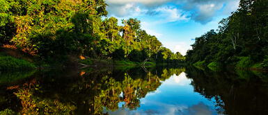 Turismo en el edén: impactante reserva peruana reanudó atención a visitantes Turismo en el edén: impactante reserva peruana reanudó atención a visitantes
