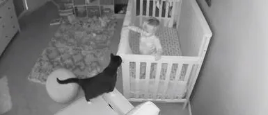 Bebé y una gatita tienen tierna "conversación" en plena madrugada Bebé y una gatita tienen tierna "conversación" en plena madrugada