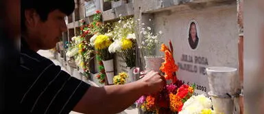 Minsa advierte que floreros con agua pueden causar proliferación del dengue Minsa advierte que floreros con agua pueden causar proliferación del dengue