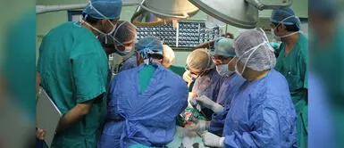 ¿Las personas bilingües se recuperan más rápido de cirugías cerebrales? ¿Las personas bilingües se recuperan más rápido de cirugías cerebrales?