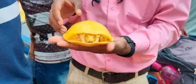 Encuentran exótica tortuga amarilla en un estanque de la India Encuentran exótica tortuga amarilla en un estanque de la India