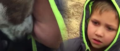 Niño llora de felicidad al reencontrarse con su perro que estuvo perdido Niño llora de felicidad al reencontrarse con su perro que estuvo perdido