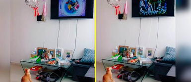 Gatito acompaña a su amo a ver Dragon Ball GT y su reacción sorprende en redes Gatito acompaña a su amo a ver Dragon Ball GT y su reacción sorprende en redes