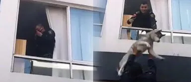 Policías arriesgan su vida para salvar a perro de feroz incendio Policías arriesgan su vida para salvar a perro de feroz incendio