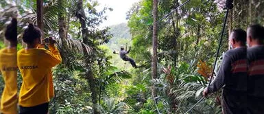 Turismo de aventura: ¡Descubre la nueva propuesta de Tingo María, Huánuco! Turismo de aventura: ¡Descubre la nueva propuesta de Tingo María, Huánuco!