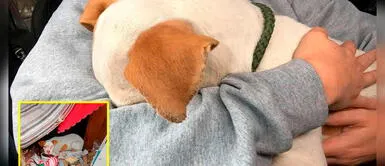 Mujer rescata a un perro abandonado en un garaje y él le da tierno abrazo Mujer rescata a un perro abandonado en un garaje y él le da tierno abrazo