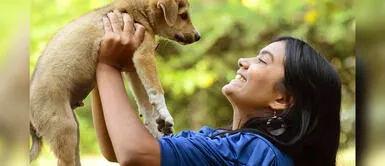 Consejos para elegir el nombre ideal de nuestra mascota Consejos para elegir el nombre ideal de nuestra mascota