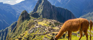 Machu Picchu se corona como la mejor atracción turística de Sudamérica 2020 Machu Picchu se corona como la mejor atracción turística de Sudamérica 2020