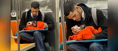 Hombre utiliza el tren para alimentar y cuidar a un gato bebé abandonado Hombre utiliza el tren para alimentar y cuidar a un gato bebé abandonado