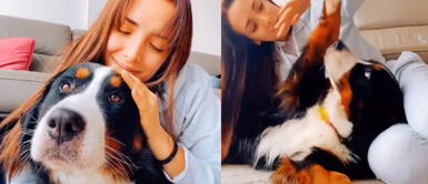 Rosángela Espinoza llora al devolver mascota de su exnovio: "Mi Bianca, te extrañaré" Rosángela Espinoza llora al devolver mascota de su exnovio: "Mi Bianca, te extrañaré"