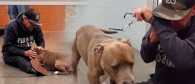 Adulto mayor llora al volver a ver a su perro perdido después de 6 meses Adulto mayor llora al volver a ver a su perro perdido después de 6 meses