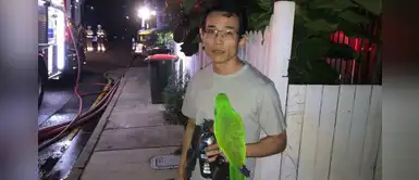 Loro gritó desesperadamente para avisar a su dueño que la casa se quemaba Loro gritó desesperadamente para avisar a su dueño que la casa se quemaba