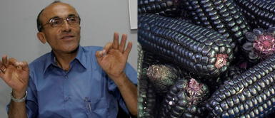 Dr. Pérez-Albela sobre el maíz morado: "Previene las enfermedades cardiovasculares" Dr. Pérez-Albela sobre el maíz morado: "Previene las enfermedades cardiovasculares"