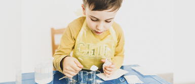Cuatro ideas para fomentar el interés por la ciencia en los escolares Cuatro ideas para fomentar el interés por la ciencia en los escolares