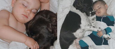 Bebé pide a su madre que lo deje dormir con su perro Bebé pide a su madre que lo deje dormir con su perro