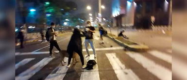 Denuncian casos de perritos afectados por el gas de las bombas lacrimógenas Denuncian casos de perritos afectados por el gas de las bombas lacrimógenas