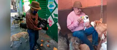 Hombre reparte alimento a más de 50 perros callejeros durante la pandemia Hombre reparte alimento a más de 50 perros callejeros durante la pandemia