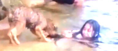 Perro "salva" a su ama creyendo que se está ahogando en río Perro "salva" a su ama creyendo que se está ahogando en río