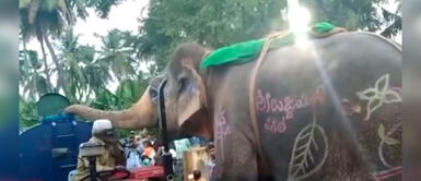 Hombre se apiada de un elefante y le da agua de su cisterna en la India Hombre se apiada de un elefante y le da agua de su cisterna en la India