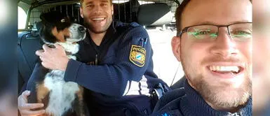 Perro que huyó de su casa tuvo inesperada reacción al ser 'detenido' por policías Perro que huyó de su casa tuvo inesperada reacción al ser 'detenido' por policías