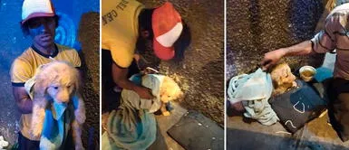 Joven indigente decide alimentar a una perrita abandonada en La Victoria Joven indigente decide alimentar a una perrita abandonada en La Victoria