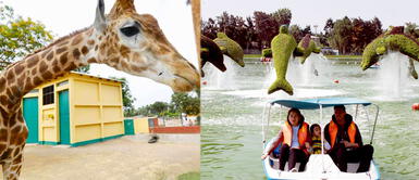 Parque de las Leyendas comunicó que menores de 12 años ya pueden ingresar Parque de las Leyendas comunicó que menores de 12 años ya pueden ingresar