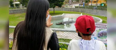 Niño cumple su mayor sueño de conocer a los animales del Parque de las Leyendas Niño cumple su mayor sueño de conocer a los animales del Parque de las Leyendas