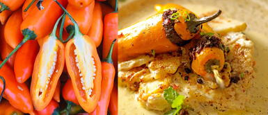 Ajíes rellenos: Una receta picante que promete cautivar el paladar más exigente Ajíes rellenos: Una receta picante que promete cautivar el paladar más exigente