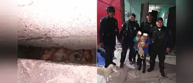 Niños festejaron que la policía salvara a su perrito: "¡Goody está vivo!" Niños festejaron que la policía salvara a su perrito: "¡Goody está vivo!"