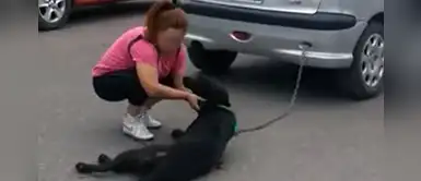 Denuncian a mujer por utilizar su carro para arrastrar a su indefenso perro Denuncian a mujer por utilizar su carro para arrastrar a su indefenso perro