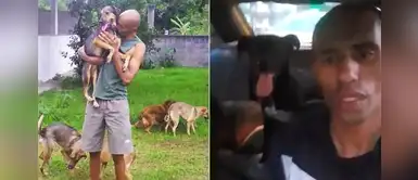 Hombre pierde su casa y decide vivir con sus perros en su auto Hombre pierde su casa y decide vivir con sus perros en su auto