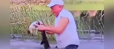 Anciano se lanza al agua para rescatar a su perrito de un cocodrilo Anciano se lanza al agua para rescatar a su perrito de un cocodrilo