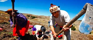 Gobierno crea el Ministerio de Desarrollo Agrario y Riego Gobierno crea el Ministerio de Desarrollo Agrario y Riego