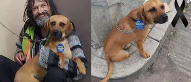 Hombre indigente rompe en llanto tras ver atropellado a su perro Hombre indigente rompe en llanto tras ver atropellado a su perro