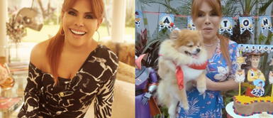 Magaly Medina celebró el cumpleaños de su mascota con tierna decoración | VIDEO Magaly Medina celebró el cumpleaños de su mascota con tierna decoración | VIDEO