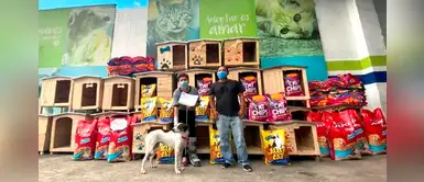 Mujer realizó donativo para albergue animal: 26 casitas y bolsas de comida Mujer realizó donativo para albergue animal: 26 casitas y bolsas de comida