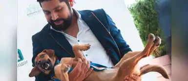 Hincha peruano regresó a Rusia tras el Mundial para adoptar a una perrita Hincha peruano regresó a Rusia tras el Mundial para adoptar a una perrita