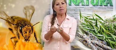 Jeanette Enmanuel recomienda el romero y el polen para evitar caída del cabello Jeanette Enmanuel recomienda el romero y el polen para evitar caída del cabello