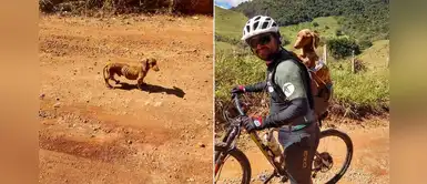 Ciclista rescata a un perro desnutrido y ahora comparten viajes juntos Ciclista rescata a un perro desnutrido y ahora comparten viajes juntos