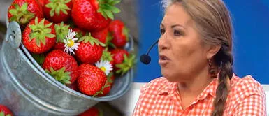 Jeanette Emmanuel brinda consejos para aliviar los dolores menstruales con hojas de fresas Jeanette Emmanuel brinda consejos para aliviar los dolores menstruales con hojas de fresas