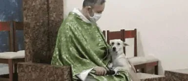 Sacerdote brinda una misa rodeado de perros para que fieles los adopten Sacerdote brinda una misa rodeado de perros para que fieles los adopten