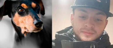 Chile: Joven venezolano al borde de la muerte por salvar a perros en incendio Chile: Joven venezolano al borde de la muerte por salvar a perros en incendio