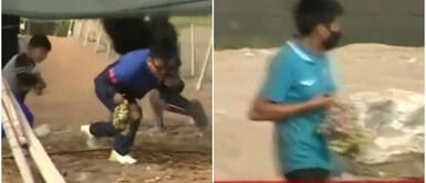 Paro agrario en Ica: adultos y niños saquean viñedo Paro agrario en Ica: adultos y niños saquean viñedo