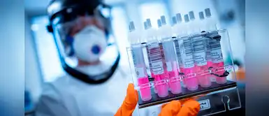 Científicos desarrollan un virus que mata el cáncer activando el sistema inmunológico Científicos desarrollan un virus que mata el cáncer activando el sistema inmunológico