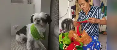 Anciana sobrevive a la pandemia tejiendo bufandas para perros y gatos Anciana sobrevive a la pandemia tejiendo bufandas para perros y gatos